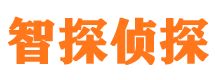 青山区市婚姻调查